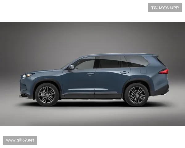 一辆普通的混动家用SUV 一辆普通的混动家用SUV