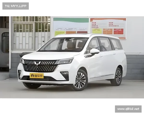 人民的大7座MPV!全新五菱佳辰6.88万起 出行必备! 人民的大7座MPV!全新五菱佳辰6.88万起 出行必备!